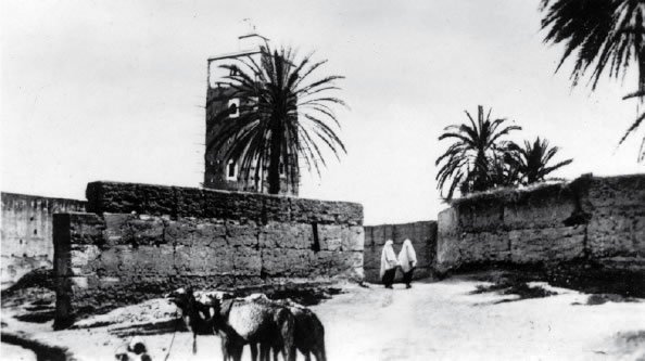 tiznito11