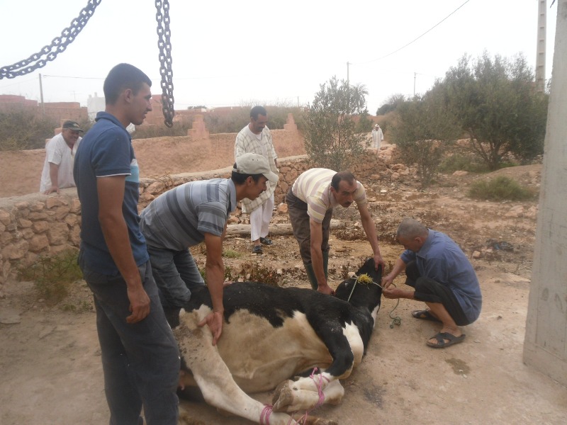 موسم