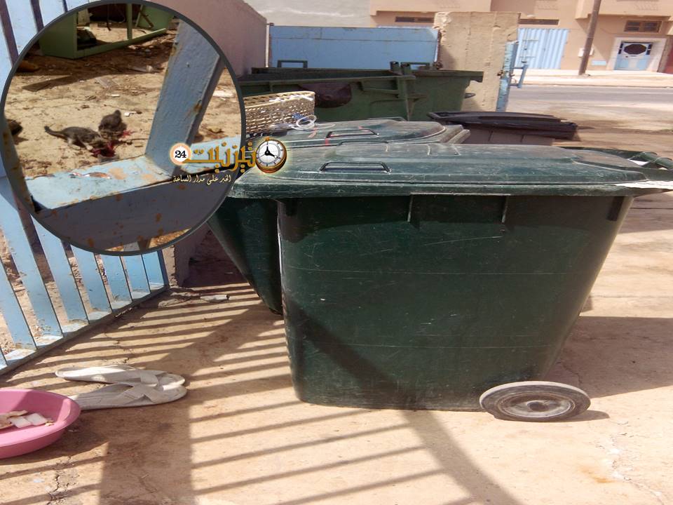 المشيمة 3
