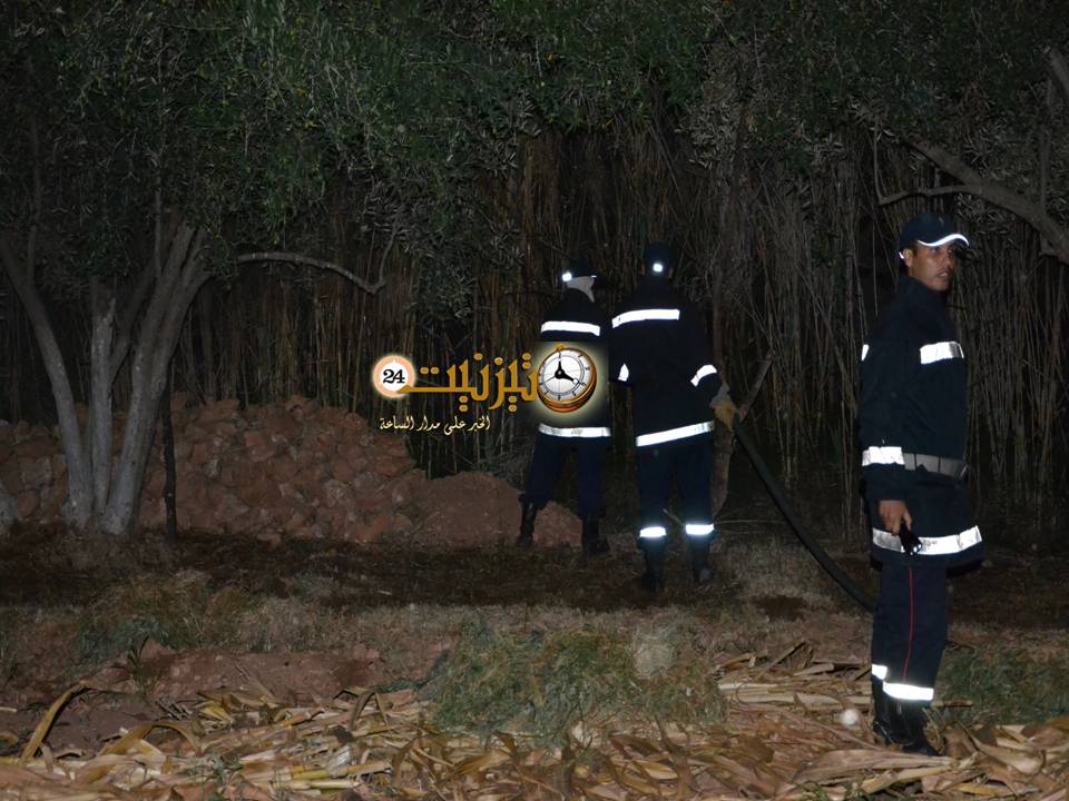 الوقاية 3333