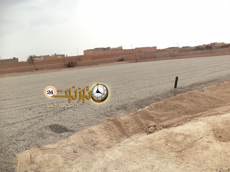بين النخيل 2