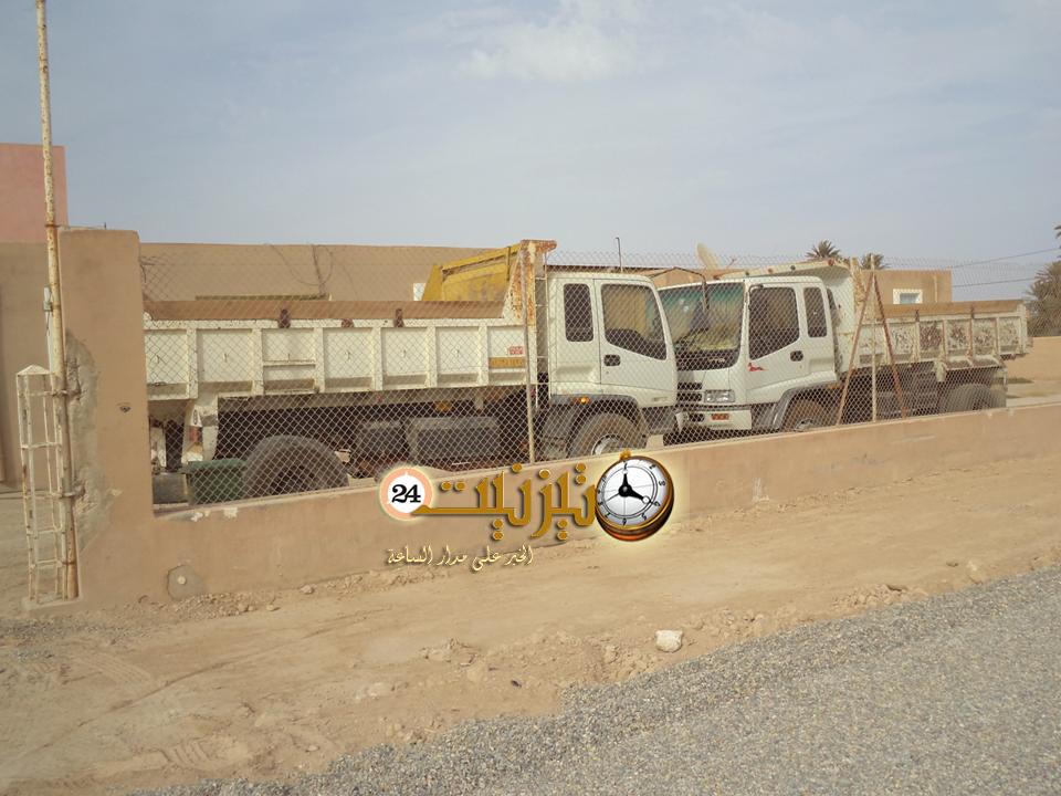 بين النخيل 3