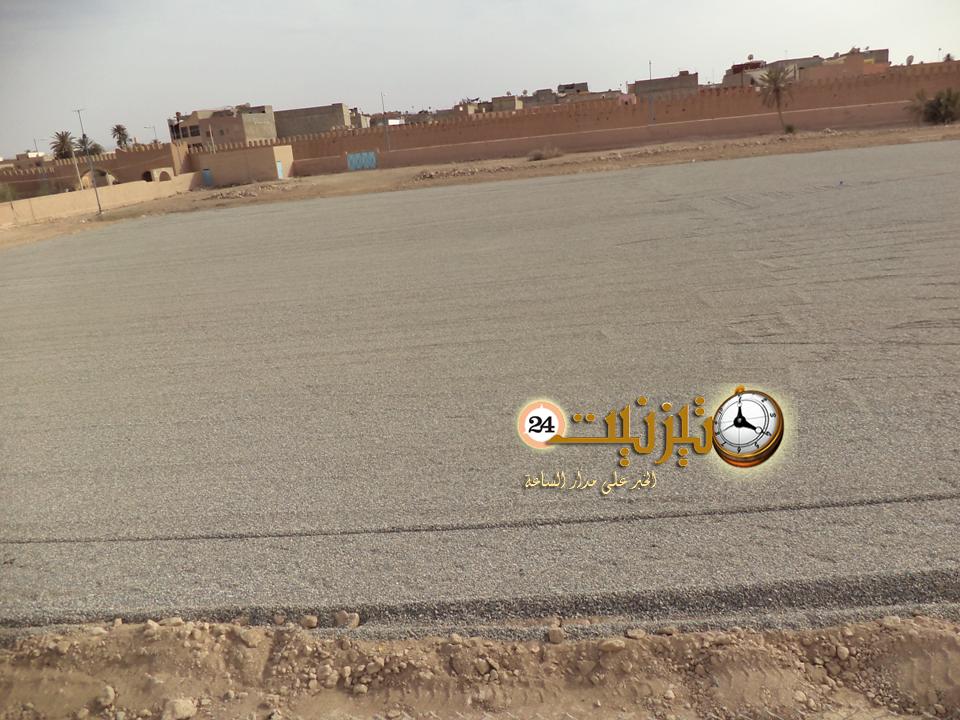 بين النخيل