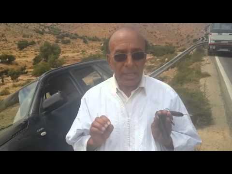 الحسن حمنا: “تعرضت لحادثة سير مدبرة بواسطة سيارتين سائقاها مجهولان”